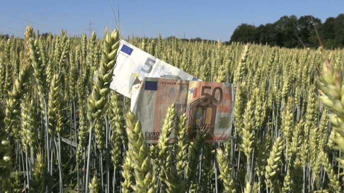 agriculture-business-concept-euro-banknotes-on-crop-wheat-ears_4yctbtkg__F0000.png