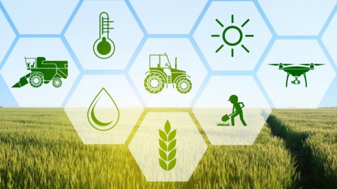 Transforming the farm BLOG.jpg